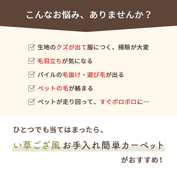 水洗いできるい草風カーペット 両面使えるリバーシブル仕様 ミーサ 江戸間サイズ
