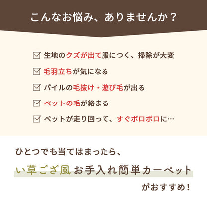 水洗いできるい草風カーペット 両面使えるリバーシブル仕様 ミーサ 江戸間サイズ