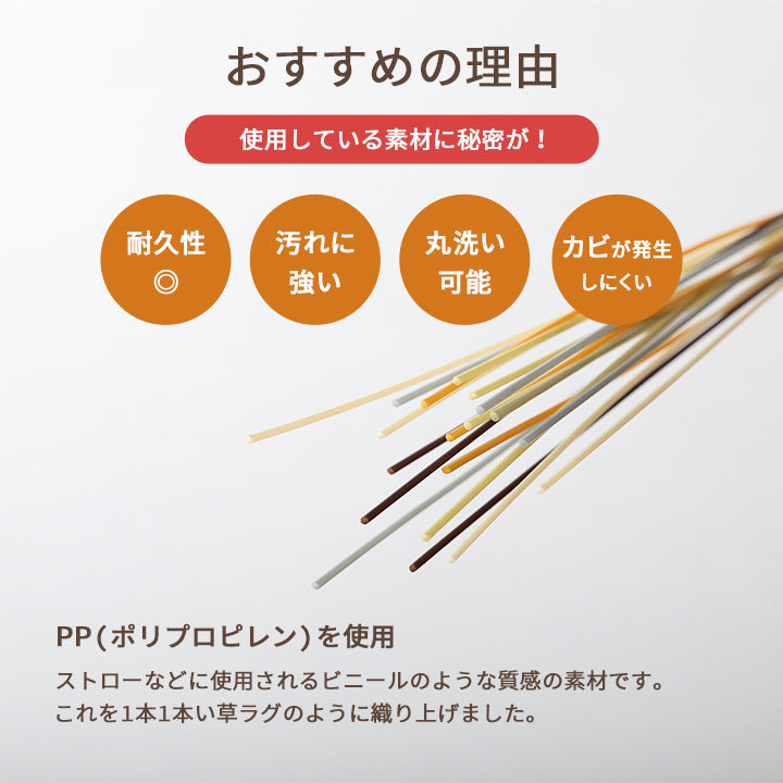 水洗いできるい草風カーペット 両面使えるリバーシブル仕様 ミーサ 江戸間サイズ