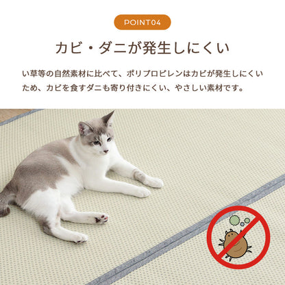 水洗いできるい草風カーペット 両面使えるリバーシブル仕様 ミーサ 江戸間サイズ