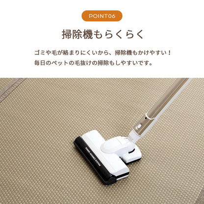 水洗いできるい草風カーペット 両面使えるリバーシブル仕様 ミーサ 江戸間サイズ