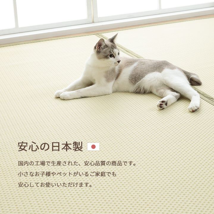 水洗いできるい草風カーペット 両面使えるリバーシブル仕様 ミーサ 江戸間サイズ