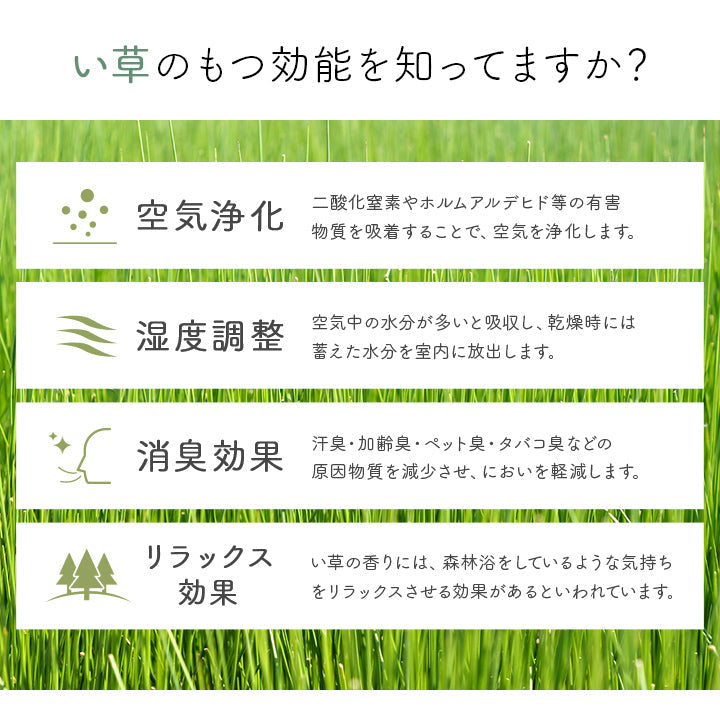 玄関を華やかにするい草の玄関マット 九州産