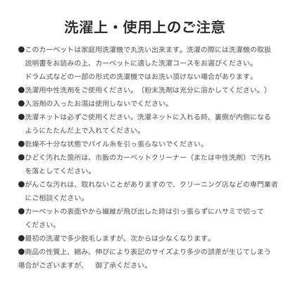 フルーツをシンプルに配置した印象的な玄関マット フルーツミニマット