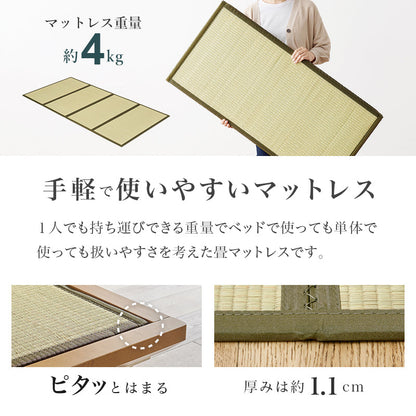 爽やかな天然い草を使用した畳マット・すのこベッド シングルサイズ