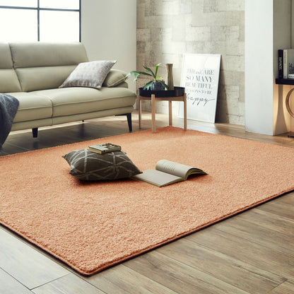 ナイロンカーペット サイズ加工対応  サンティエ