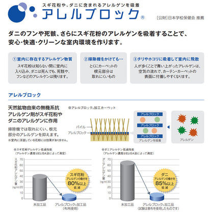 ホテルカーペットの耐久性とベース糸に色をプラスして深みを表現したラグ フォルテラグ