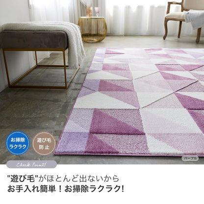 ダイナミックな自然のカラーをモチーフにしたラグ Scene - シーン