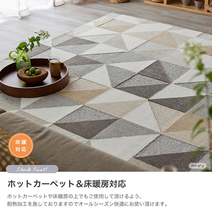 ダイナミックな自然のカラーをモチーフにしたラグ Scene - シーン
